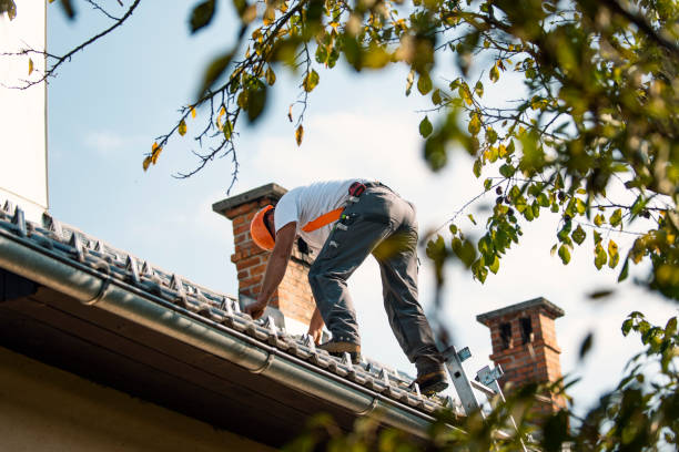 Best Residential Roof Replacement  in Hesston, KS