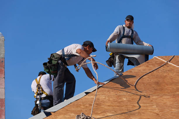 Best Sealant for Roof  in Hesston, KS